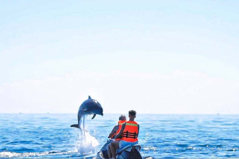 Un delfín saltando en el mar de Djerba