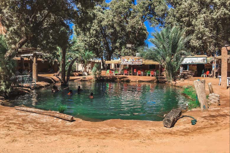 Aguas termales de Ksar Ghilane