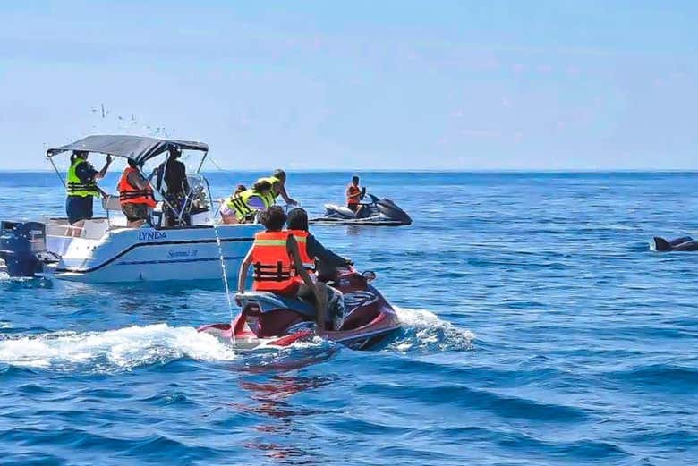 Una moto de agua junto a un barco viendo delfines