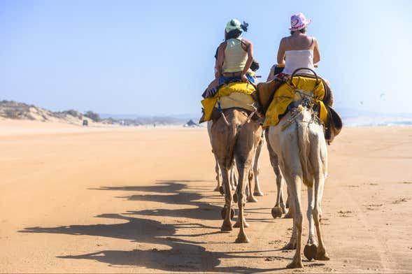 Paseo en camello por la laguna de Djerba