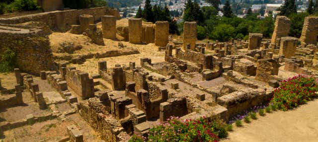 Tour por Túnez, Cartago y Sidi Bou Said para cruceros